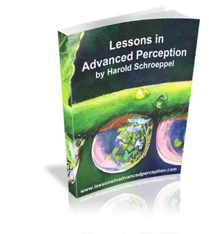 Lessons In Advanced Perception