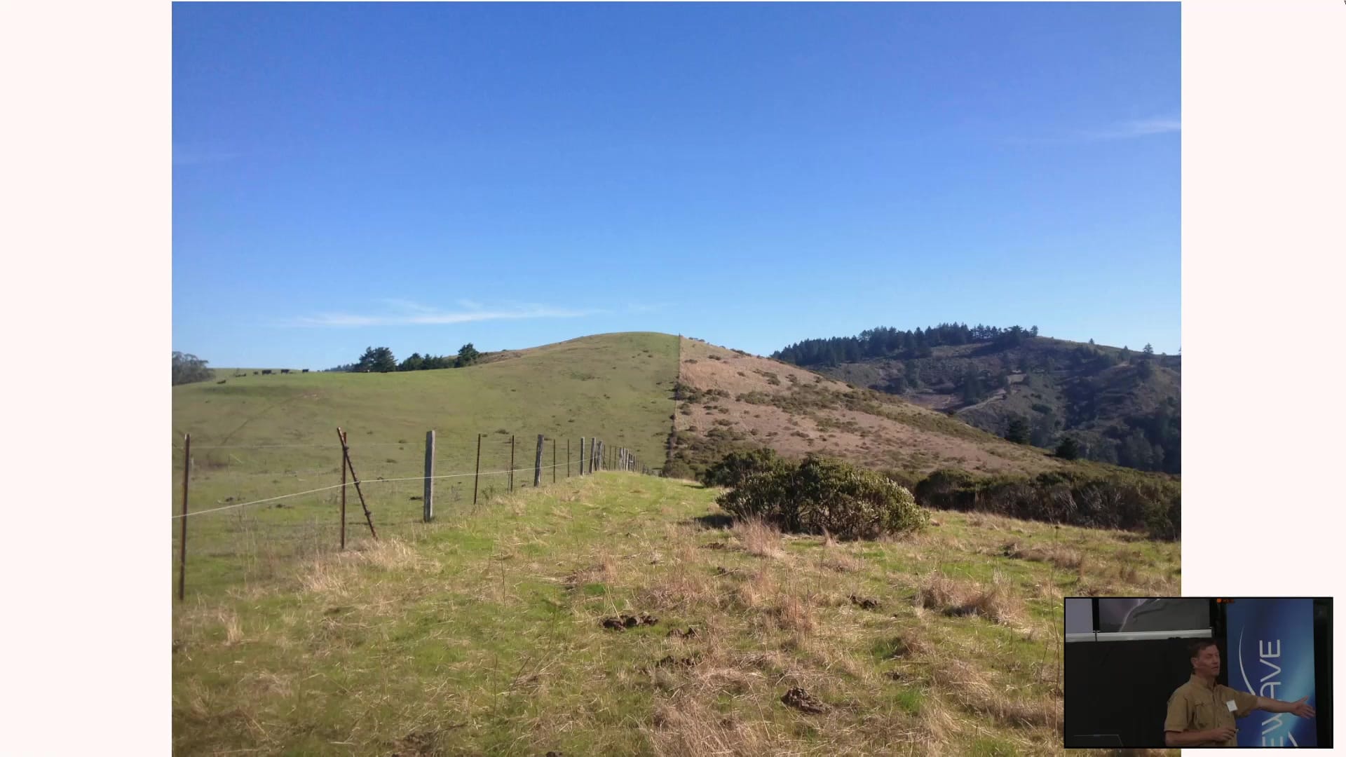 Fence-line comparison: short green pasture on one side, taller standing plant material on the other